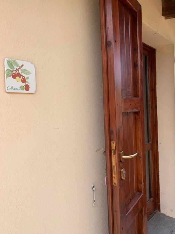 Agriturismo Terra Noas Villaurbana Exteriér fotografie